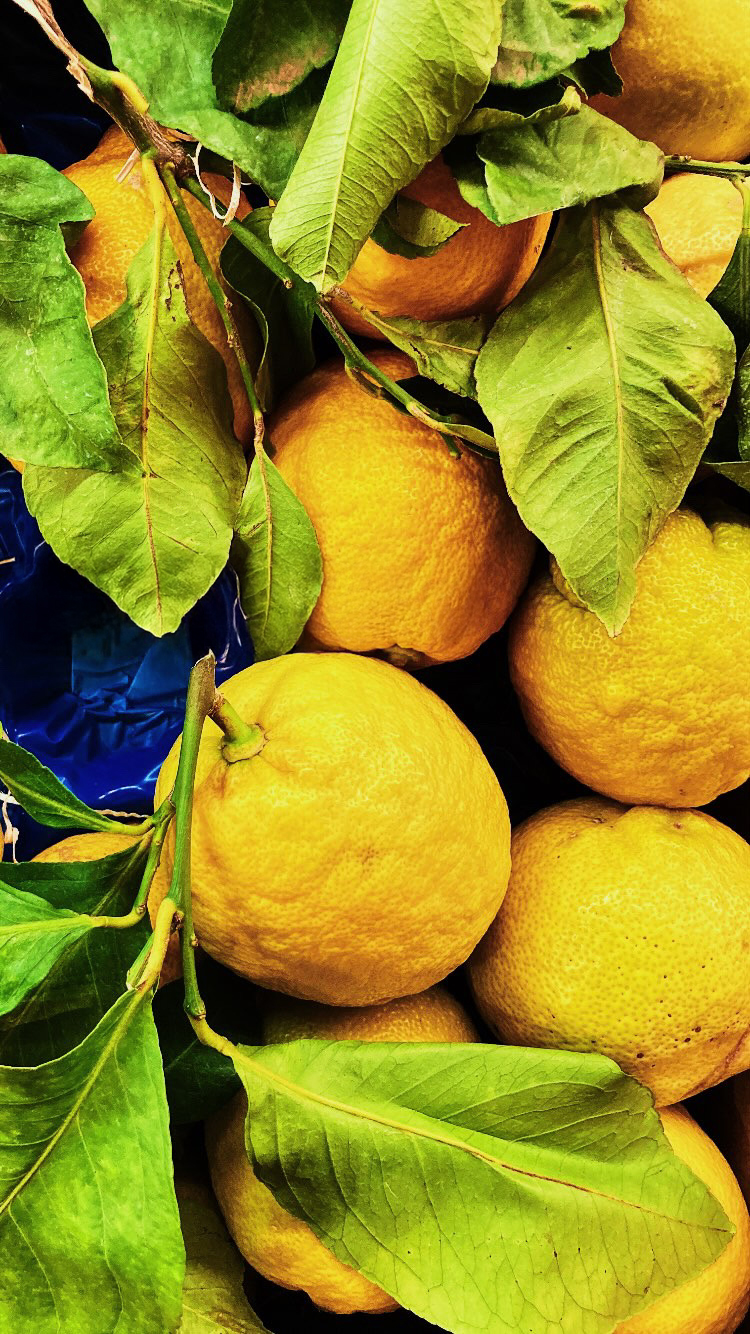 Limonade classique maison